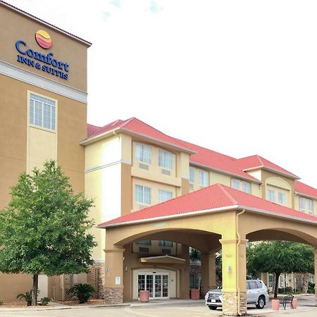 סן אנטוניו Comfort Inn & Suites Near Six Flags & Medical Center מראה חיצוני תמונה