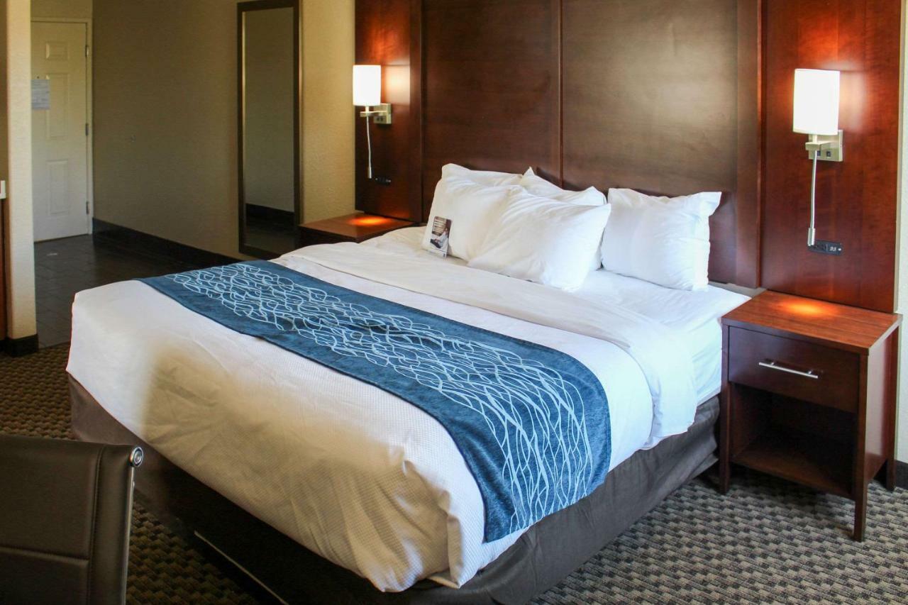 סן אנטוניו Comfort Inn & Suites Near Six Flags & Medical Center מראה חיצוני תמונה