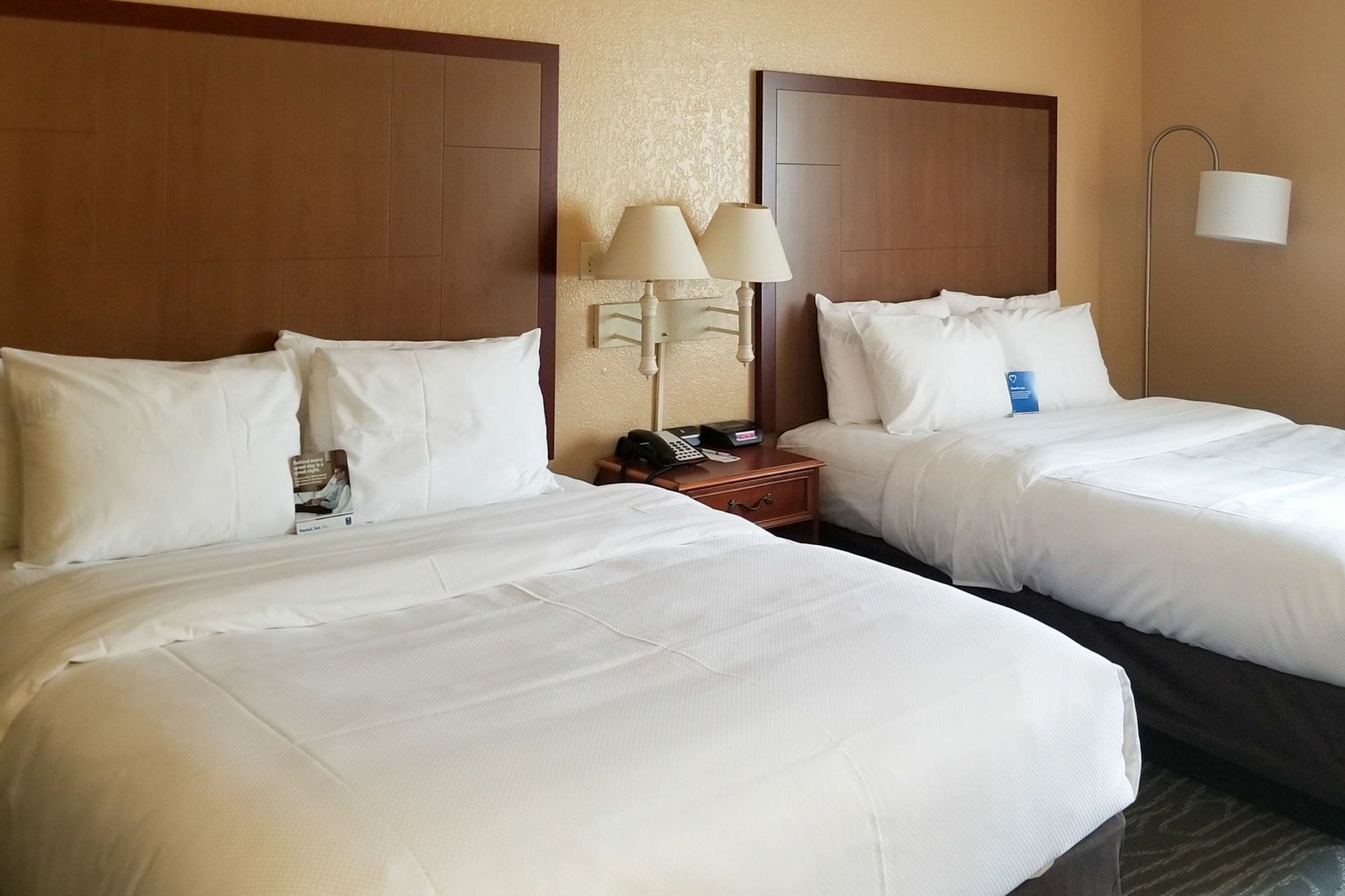 סן אנטוניו Comfort Inn & Suites Near Six Flags & Medical Center מראה חיצוני תמונה
